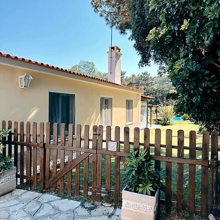 Villa Casa Girassol With A Beautiful Private Pool And Garden Sintra Exterior foto